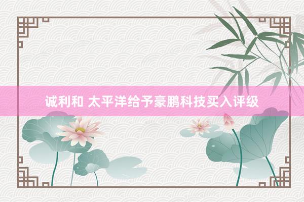 诚利和 太平洋给予豪鹏科技买入评级