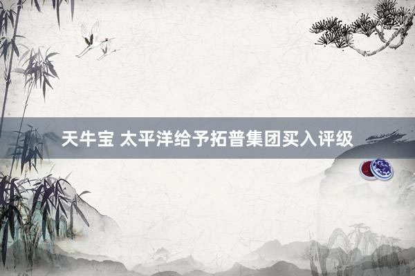 天牛宝 太平洋给予拓普集团买入评级