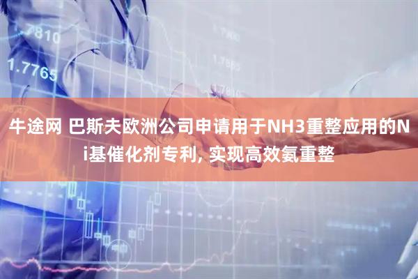 牛途网 巴斯夫欧洲公司申请用于NH3重整应用的Ni基催化剂专利, 实现高效氨重整
