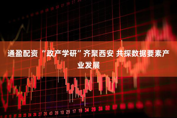 通盈配资 “政产学研”齐聚西安 共探数据要素产业发展