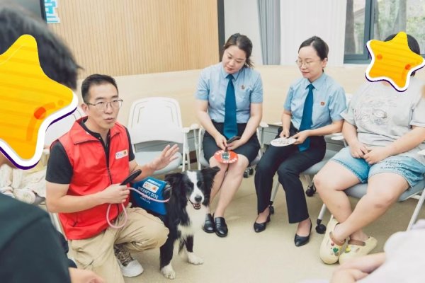 鑫优配 “汪汪队”立大功，奉贤检察官有了毛孩子小助手