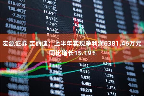 宏源证券 宝丽迪：上半年实现净利润6381.46万元 同比增长15.19%