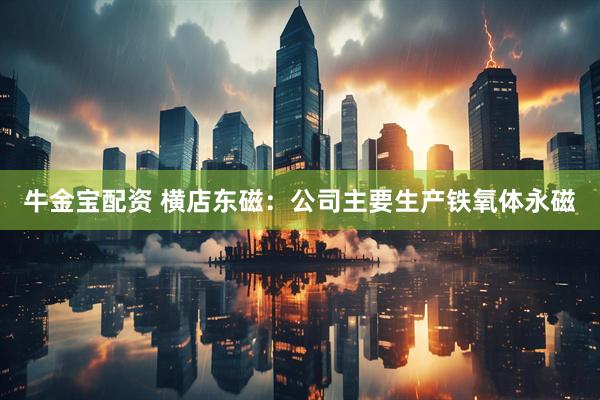 牛金宝配资 横店东磁：公司主要生产铁氧体永磁
