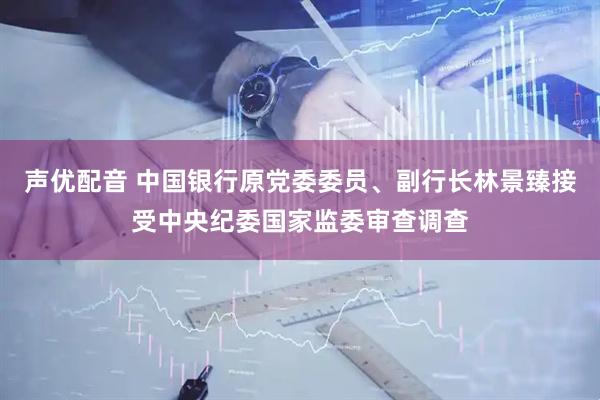 声优配音 中国银行原党委委员、副行长林景臻接受中央纪委国家监委审查调查