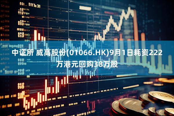 中证所 威高股份(01066.HK)9月1日耗资222万港元回购38万股