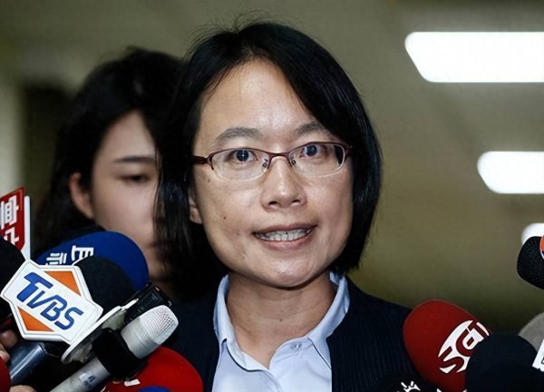 凯丰资本 “小蔡英文”接台肥董事长引争议，洪孟楷：连绿营支持者都看不下去