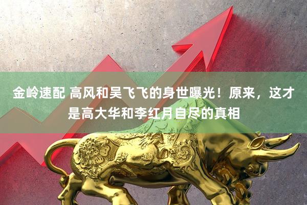 金岭速配 高风和吴飞飞的身世曝光！原来，这才是高大华和李红月自尽的真相
